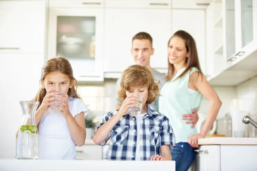 Water Purifiers vs. Softeners: Which Problem Does Each Address?